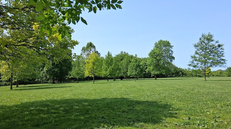 Otto Armleder Dog Park - Cincinnati, OH