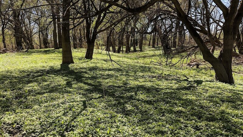 Otto Armleder Dog Park - Cincinnati, OH