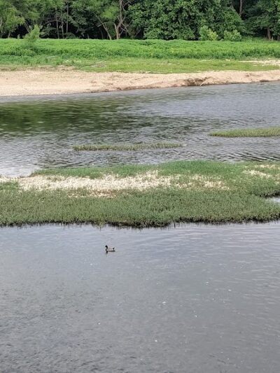 Otto Armleder Memorial Park - Cincinnati, OH