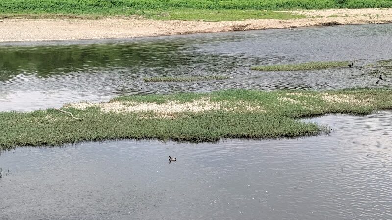 Otto Armleder Memorial Park - Cincinnati, OH