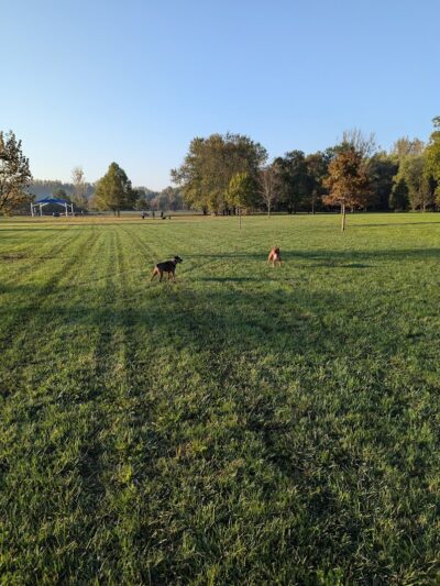 Otto Armleder Memorial Park - Cincinnati, OH