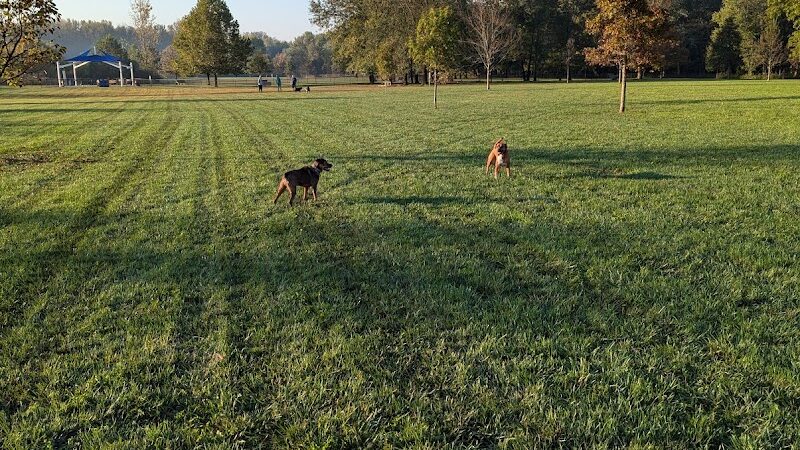 Otto Armleder Memorial Park - Cincinnati, OH