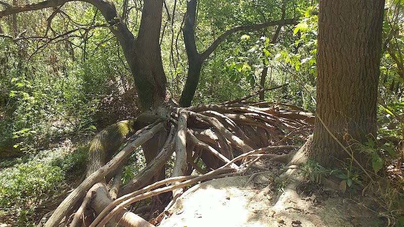 Otto Armleder Memorial Park - Cincinnati, OH