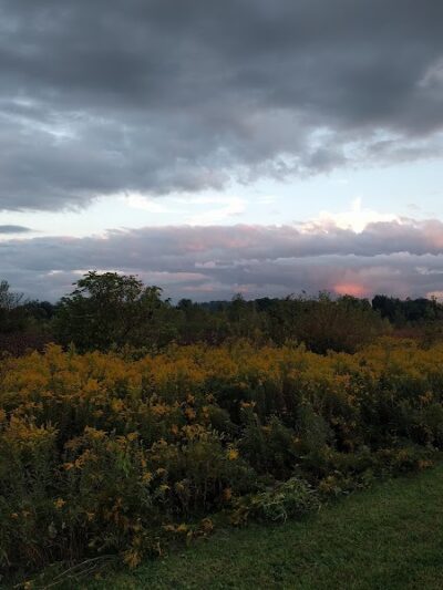 Otto Armleder Memorial Park - Cincinnati, OH