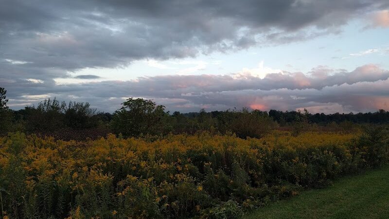 Otto Armleder Memorial Park - Cincinnati, OH