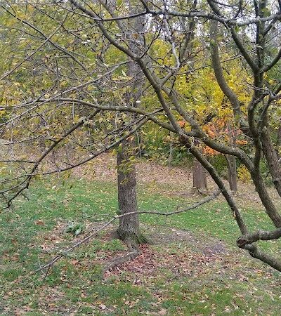 Owl's Nest Park - Cincinnati, OH