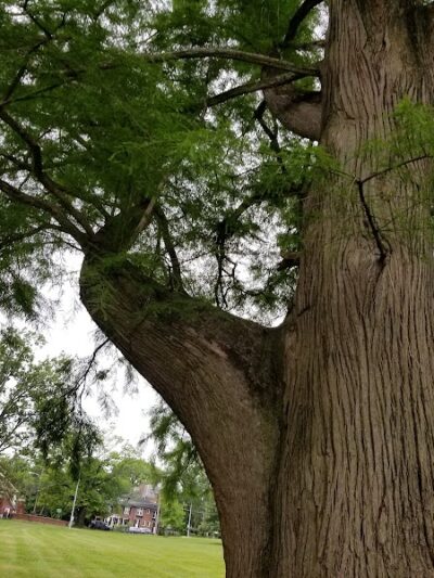 Owl's Nest Park - Cincinnati, OH