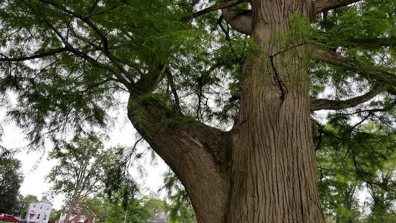 Owl's Nest Park - Cincinnati, OH