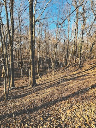 Parker Woods Nature Preserve - Cincinnati, OH