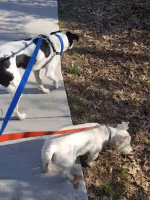 Parker Woods Nature Preserve - Cincinnati, OH