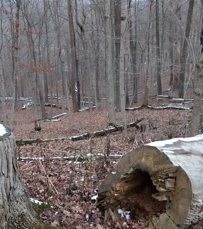 Parker Woods Nature Preserve - Cincinnati, OH