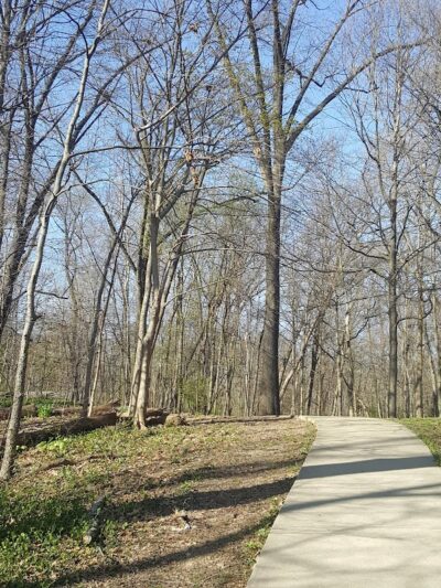 Parker Woods Nature Preserve - Cincinnati, OH