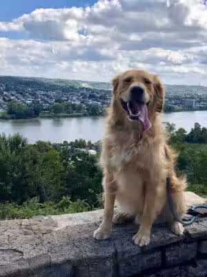 Playground at Eden Park - Cincinnati, OH