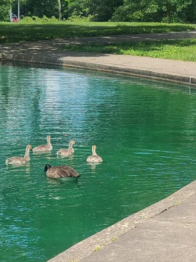 Rapid Run Park - Cincinnati, OH