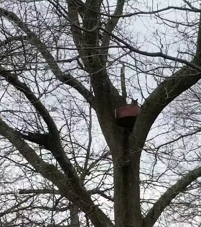 Rapid Run Park - Cincinnati, OH