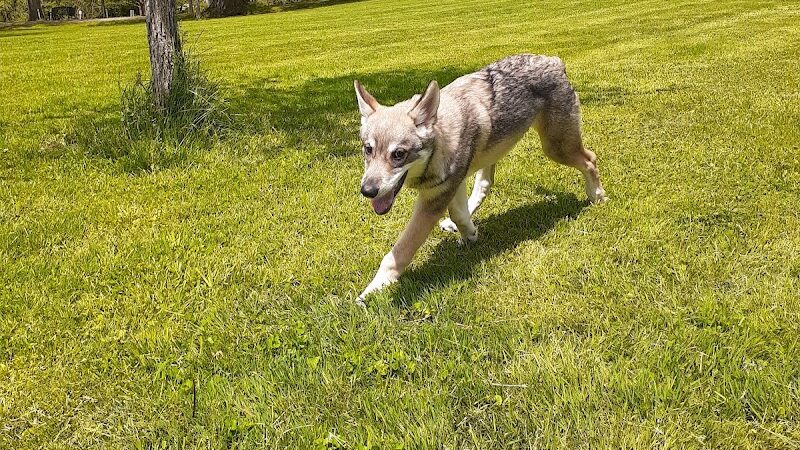 Rheinstrom Park - Cincinnati, OH