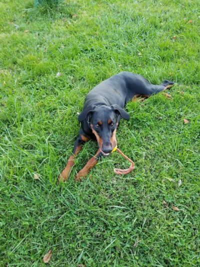 Rheinstrom Park - Cincinnati, OH