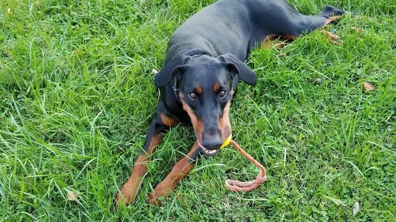 Rheinstrom Park - Cincinnati, OH