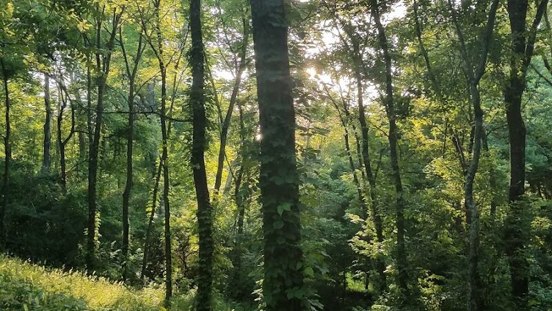 Rheinstrom Park - Cincinnati, OH