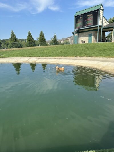 RJ Wags Park - Cincinnati, OH