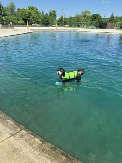 RJ Wags Park - Cincinnati, OH