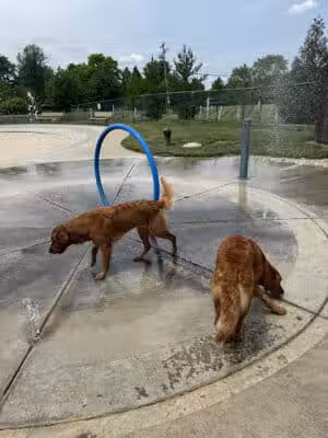 RJ Wags Park - Cincinnati, OH