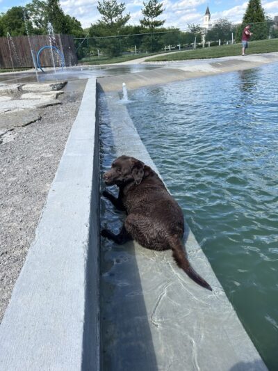 RJ Wags Park - Cincinnati, OH