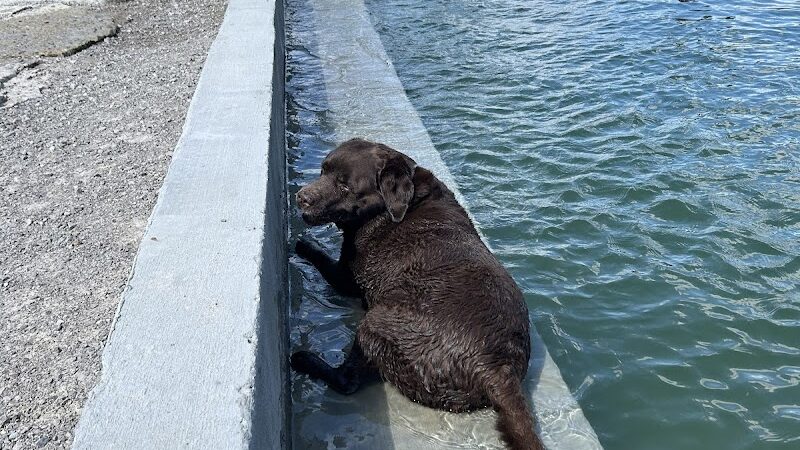 RJ Wags Park - Cincinnati, OH
