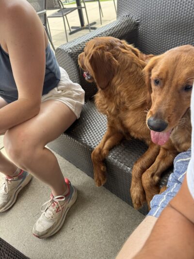 RJ Wags Park - Cincinnati, OH