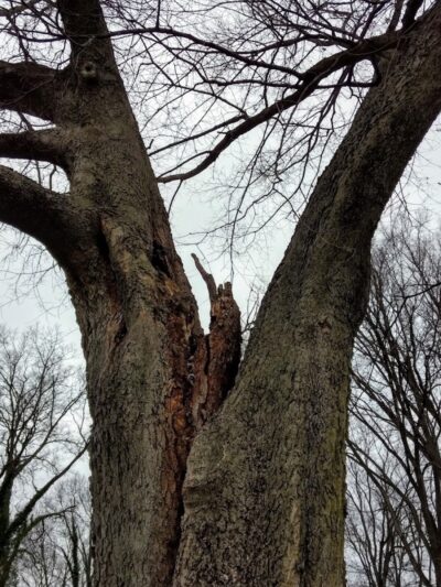 Samuel Hannaford Memorial Play Area - Cincinnati, OH