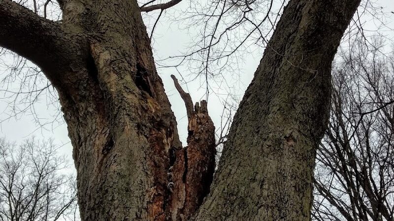 Samuel Hannaford Memorial Play Area - Cincinnati, OH