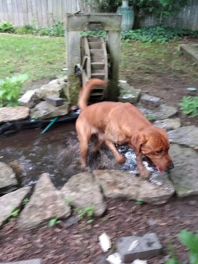Samuel Hannaford Memorial Play Area - Cincinnati, OH