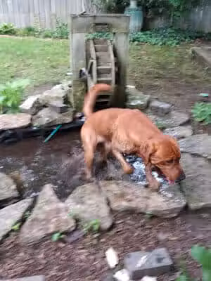Samuel Hannaford Memorial Play Area - Cincinnati, OH