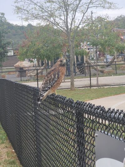 South Fairmount Playground - Cincinnati, OH