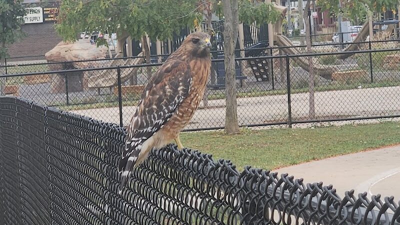 South Fairmount Playground - Cincinnati, OH