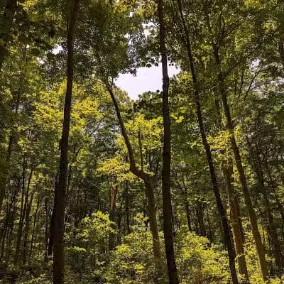 Stanbery Park - Cincinnati, OH