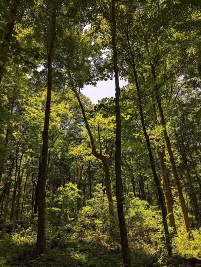 Stanbery Park - Cincinnati, OH