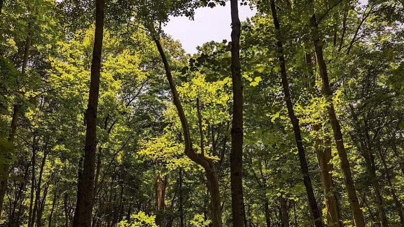 Stanbery Park - Cincinnati, OH