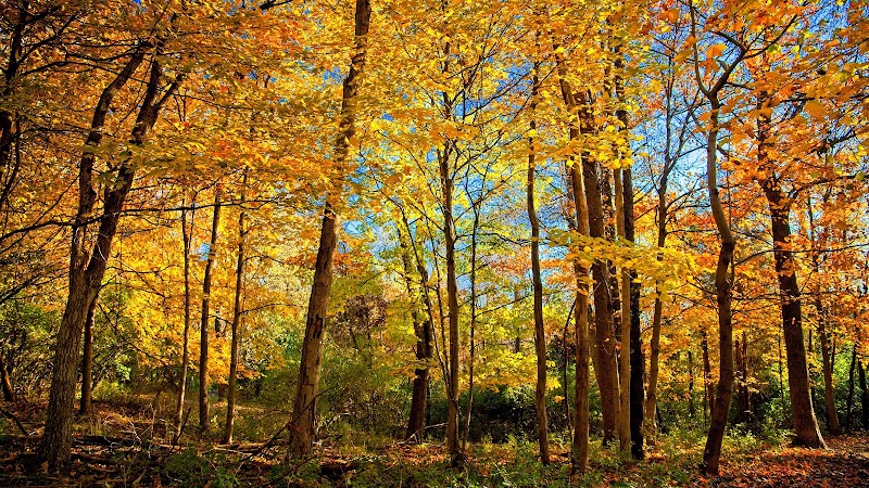 Story Woods Park - Cincinnati, OH