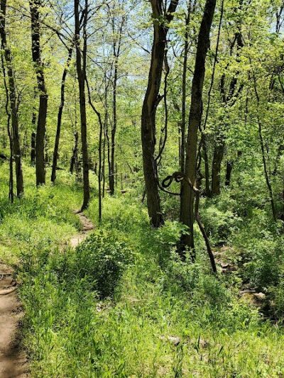 Story Woods Park - Cincinnati, OH