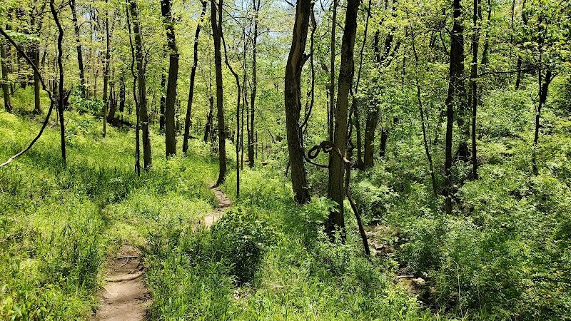 Story Woods Park - Cincinnati, OH