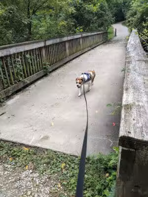 Story Woods Park - Cincinnati, OH