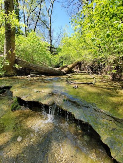 Story Woods Park - Cincinnati, OH
