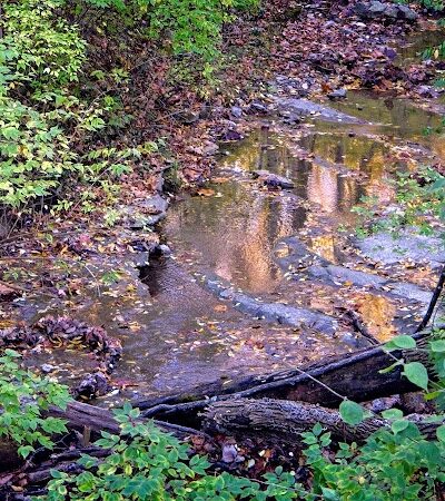 Story Woods Park - Cincinnati, OH