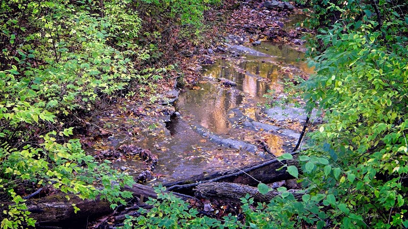 Story Woods Park - Cincinnati, OH