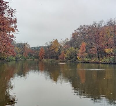 Trailside Nature Center - Cincinnati, OH