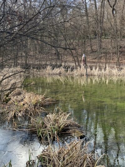 Trailside Nature Center - Cincinnati, OH