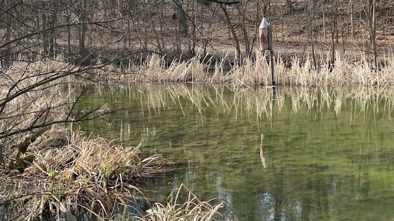 Trailside Nature Center - Cincinnati, OH