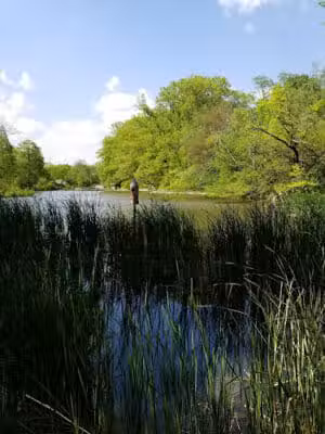 Trailside Nature Center - Cincinnati, OH