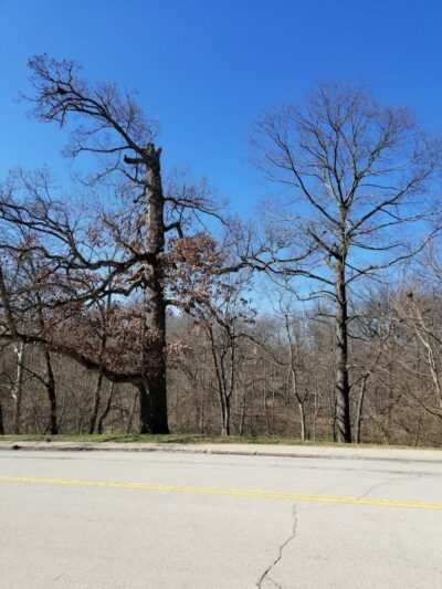 Trailside Nature Center - Cincinnati, OH